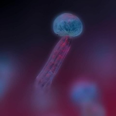 Mi Corazón     - MASARU & TAKESHI SATO -