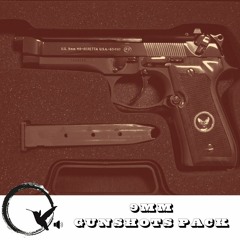 9mm Shots parts 1 & 2 review track