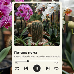 Кавер Victoria Niro - Питань нема - (gotdan.music.studio)