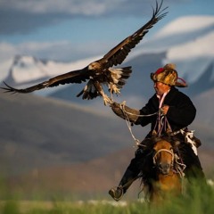 Vuelo Chamánico