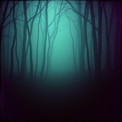 Trace