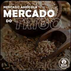 Mercado do TRIGO 06-07-2022