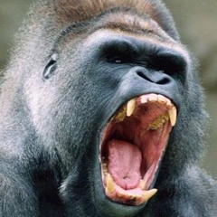 fwyh [prod. stardustszn x ferno]