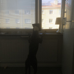 early morning (rough mix)