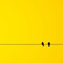 slow_flow