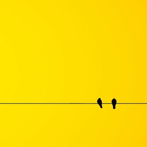 slow_flow