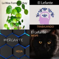 Mi lista n.º1600