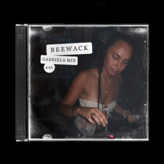 GABRIELA MIX #25 ~ beewack