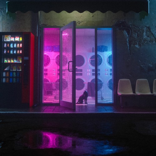 Beach For Tiger - Craving