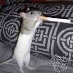 RAT FOOD    %yourlust