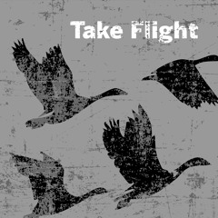 Take Flight