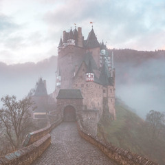 castle ( p. lil biscuit )