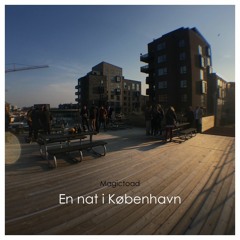 En nat i København