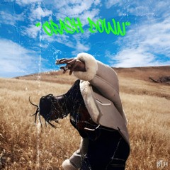 Crash Down (BLH Remix).mp3