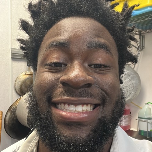 Rich *EXTENDED SNIPPET*