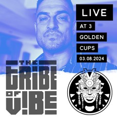 The Tribe of ViBE! Live at The 3 Golden Cups, Southerndown, 03.08.24