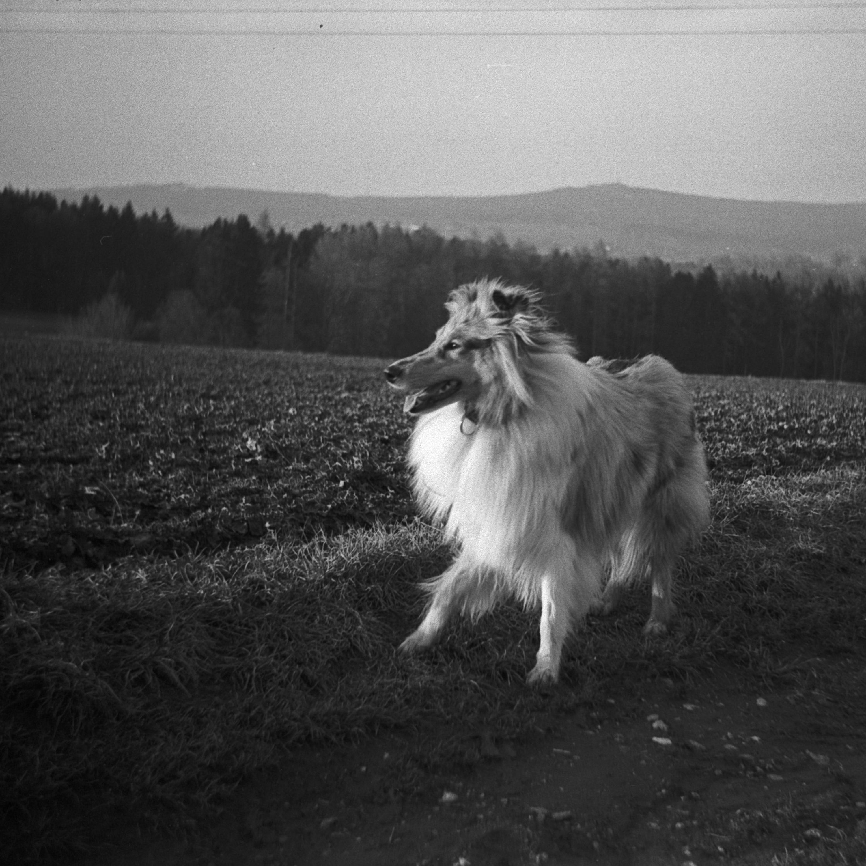 Letní punkta