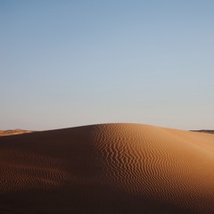 Desert Trap