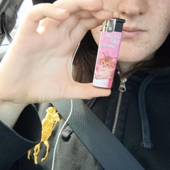 Polo Horse/Prada Dust Bag