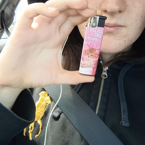 Polo Horse/Prada Dust Bag