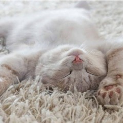 SLEEPING TIME