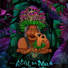 Ritual Da Mata - O RENASCER