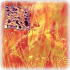 Ant Pyre