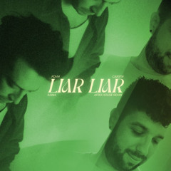 FDVM, CARSTN, IVANA — Liar Liar