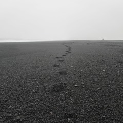 I must go! It's too cold