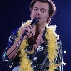 Fine Line - Harry Styles Live St Paul 9/22/21