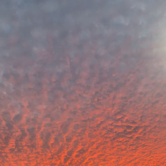 I Can’t Fall In Love With You