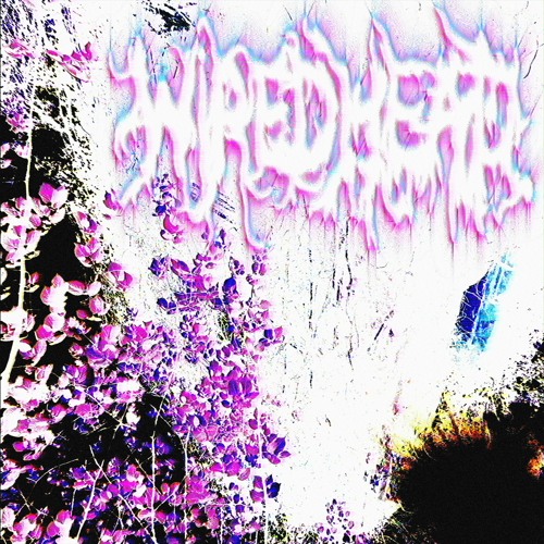⧸⤟⡧cntcry〄㍯﹌￼￼nmr⟴▼████