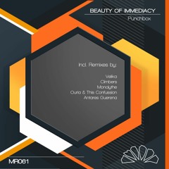 [MR060] Beauty Of Immediacy - Punchbox (Ouria & This Confussion Remix)