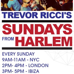 M-Sol Records Showcase on Ibiza Live Radio by Trevor Ricci