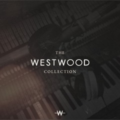 A New World
