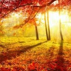 Autumn 2020