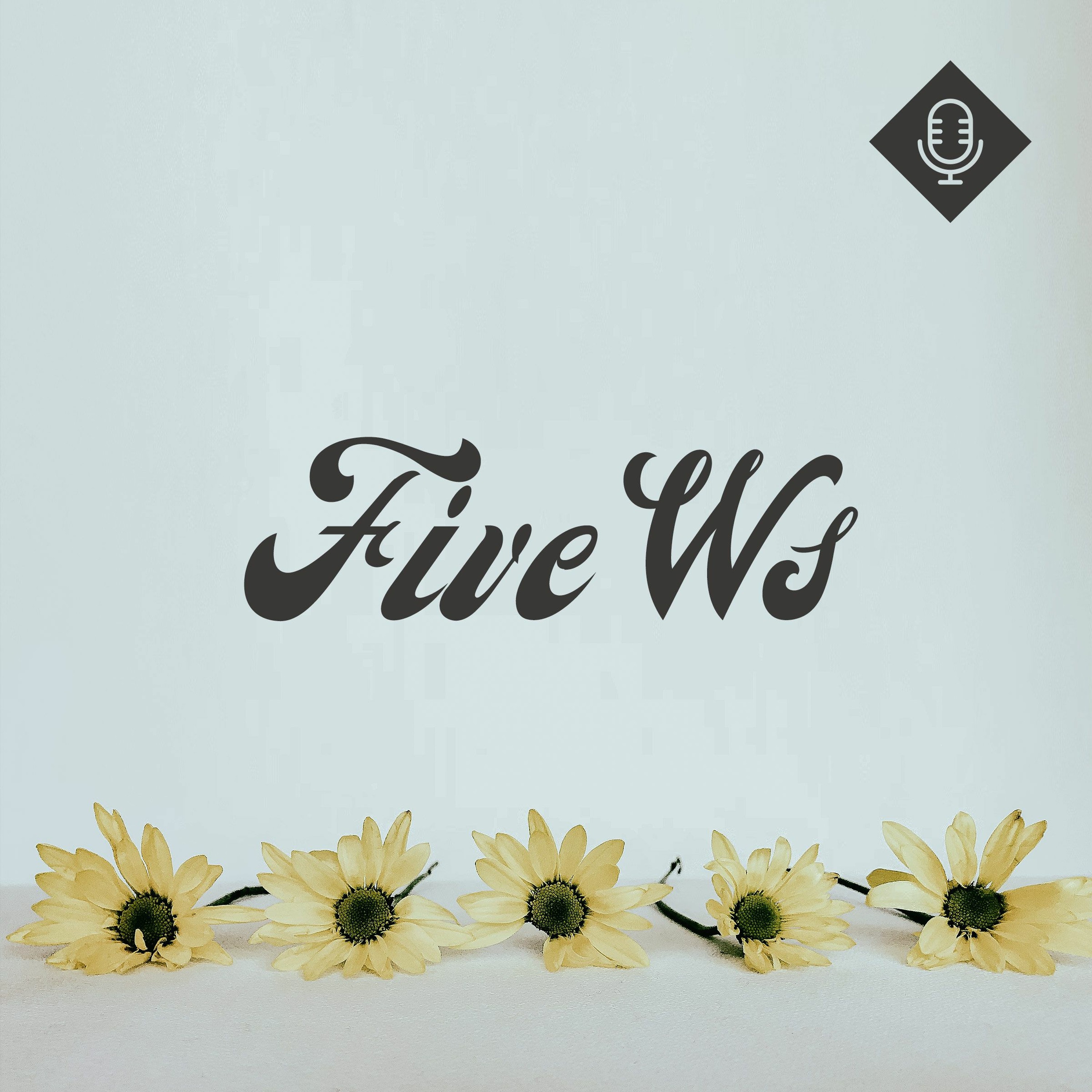 ’Five W’s’ / Lila Gribben