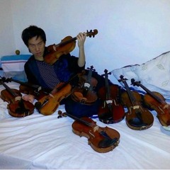 twoset violin - 12 days of practice
