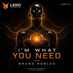 I’m What You Need
