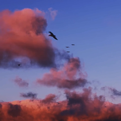 Sufjan Stevens - Fourth Of July - slowed + reverb (1 hour edition)