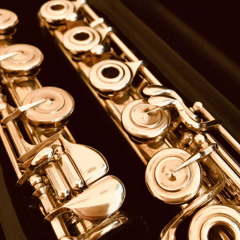 Margaret Lowe: Dawn Carol