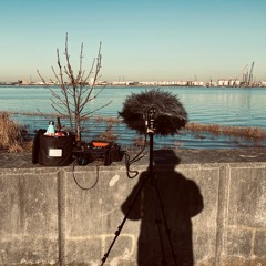 Industrial reverberations by Erith Marshes