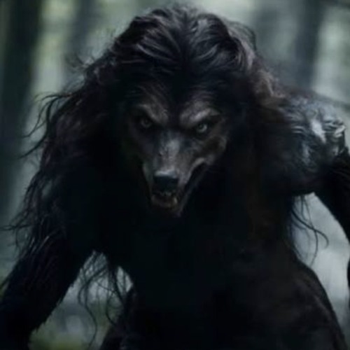 Beast (◾️bark-at-the-moon◾️)