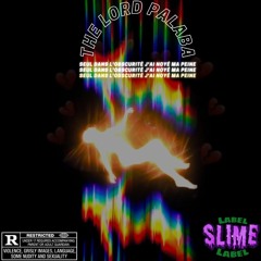 The Lord Palaba 🦅🦍- seul dans l'obscurité j'ai noyé ma peine