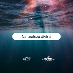 Naturaleza Divina, Bruno