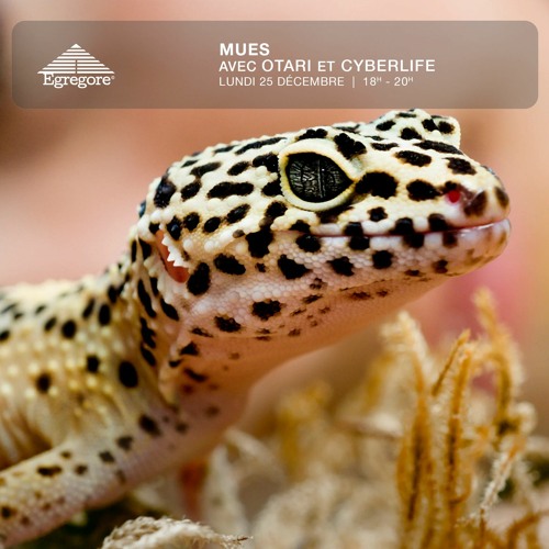 Mues avec Otari et Cyberlife (Décembre 2023)