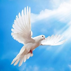 slowly ive been beginning to see your eyes as something i want to keep