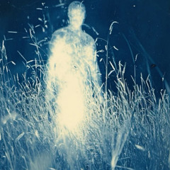osamason - or what (FLIP)