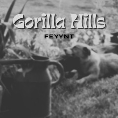 Gorilla Hills - Feyynt