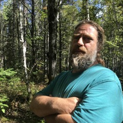 Pour une forêt plus résiliente face aux changements climatiques - Renaud Longrée